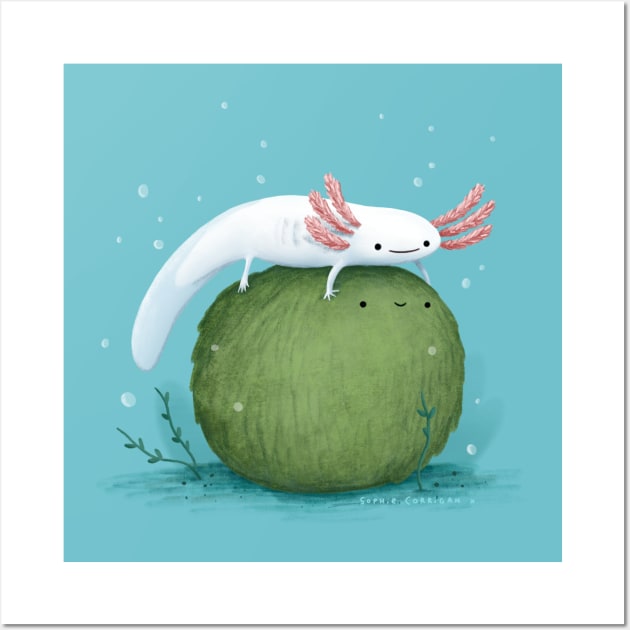 Axolotl on a Mossball Wall Art by Sophie Corrigan